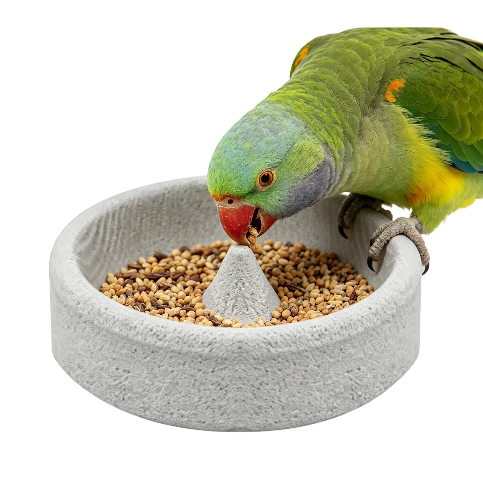 Pomesteen Vogelvoeders voor Bu - Stones Watches & Jewelry In Sweden Ab recensie en prijs